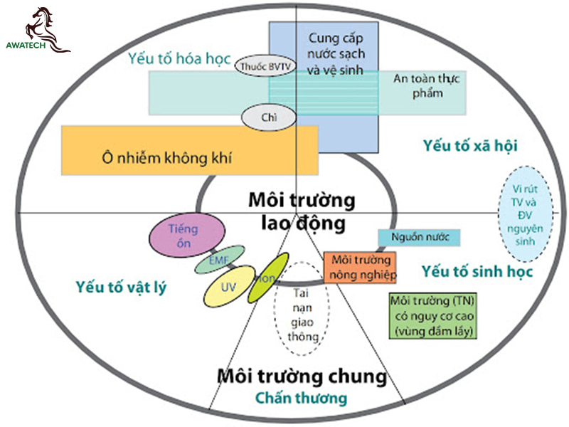 mau-ho-so-ve-sinh-moi-truong-2