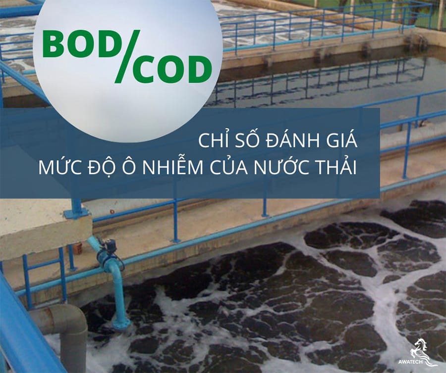 Các chỉ tiêu hóa sinh