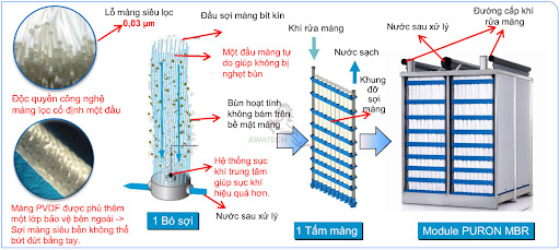 mang-sinh-hoc-trong-xu-ly-nuoc-thai-2